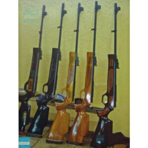 APEX AIR RIFLE (SAFETY LOCK PRESENT)(.177/4.5mm)(high power)