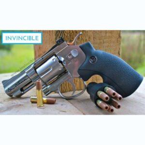 Dan Wesson 715  2.5″ BB CO2 Air Revolver silver