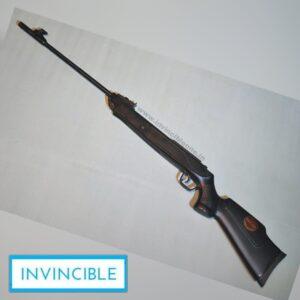 RAPTOR AIR RIFLE (FIBER STOCK)(.177 CAL)