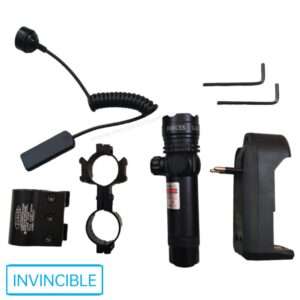 Powerful green laser pointer | laser light | with charger & mounts